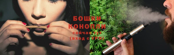 ГАЛЛЮЦИНОГЕННЫЕ ГРИБЫ Алексин