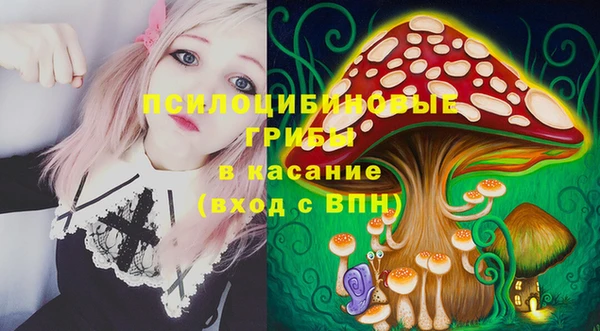 ГАЛЛЮЦИНОГЕННЫЕ ГРИБЫ Алексин